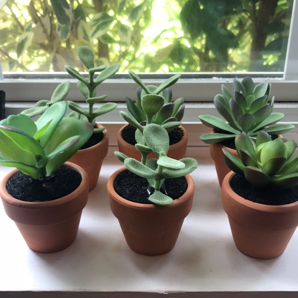 Fake Succulents bundle 💜